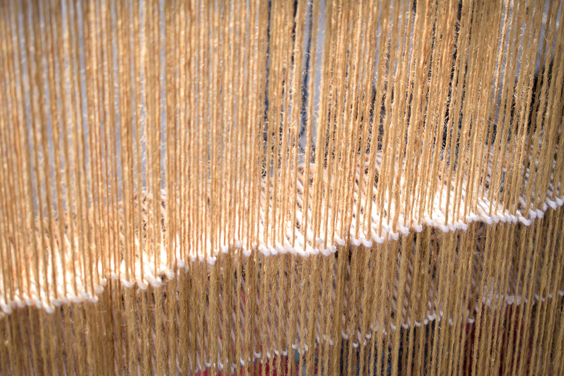 Golden threads hanging in close rows on a loom